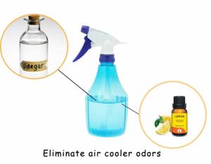 clean air cooler eliminate air coole odors